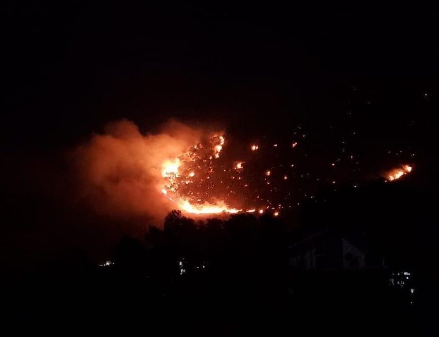 VIDEO/ Frikë tek pushuesit në Velipoje, zjarri merr përmasa të pa parashikueshme 