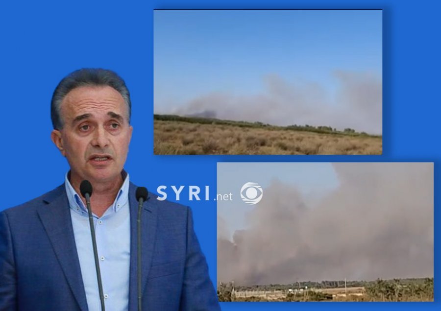 VIDEO/ ‘Pylli i Semanit në flakë’, ish-deputeti: Papërgjegjshmëri totale e shtetit, po lenë zjarrin të përparojë