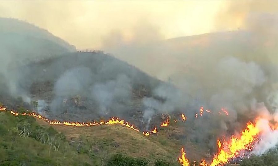 Pensionisti djeg qindra hektarë pyll, po përpiqej të mashtronte kompaninë e sigurimeve