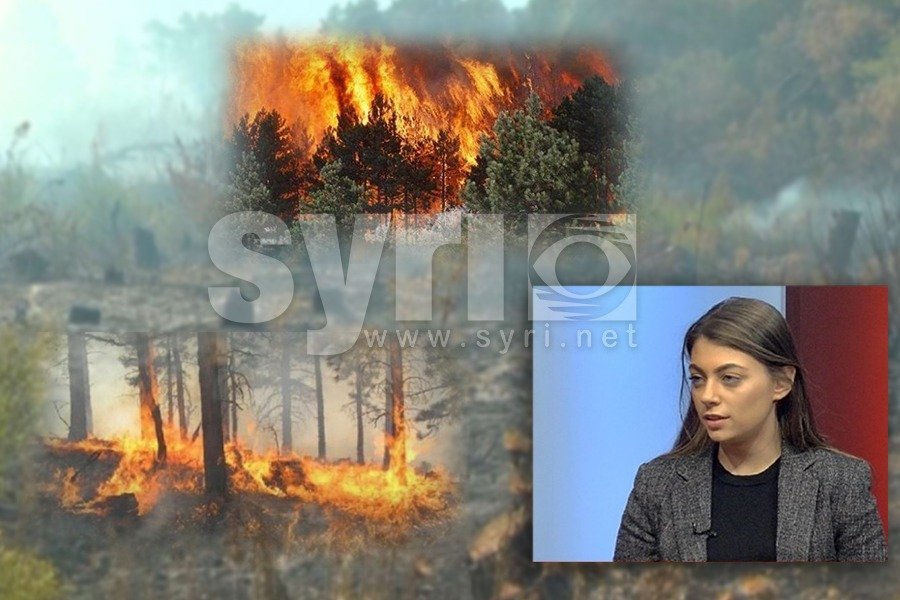 'Zjarri në pyllin e Semanit me dashje,  plan për të përvetësuar tokën publike'