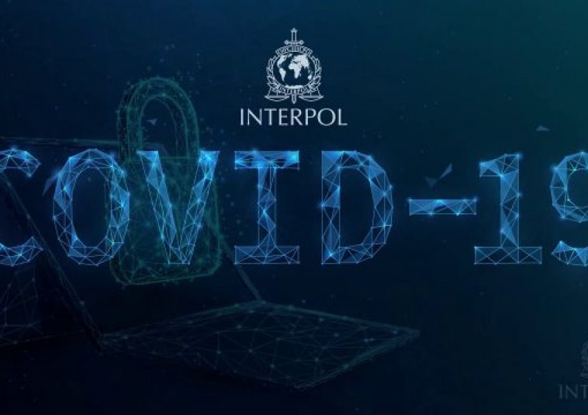 Interpol: Krimet kibernetike kanë arritur nivel alarmant gjatë pandemisë