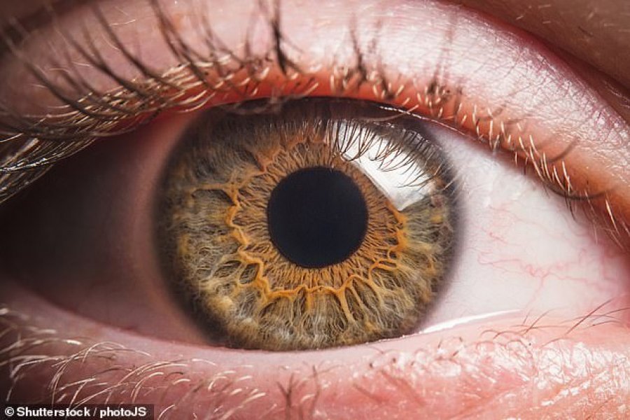 Sytë e pacientëve tregojnë sa do të jetojë ai, zbulon studimi