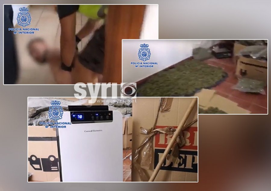VIDEO/ Trafik ndërkombëtar droge, arrestohen 4 shqiptarë në Spanjë 
