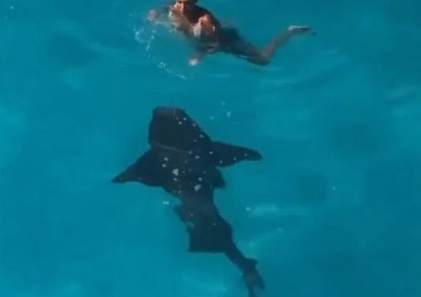 Udhëtimi në Bahamas merr kthesën tronditëse, gruaja gjendet pranë peshkaqenit