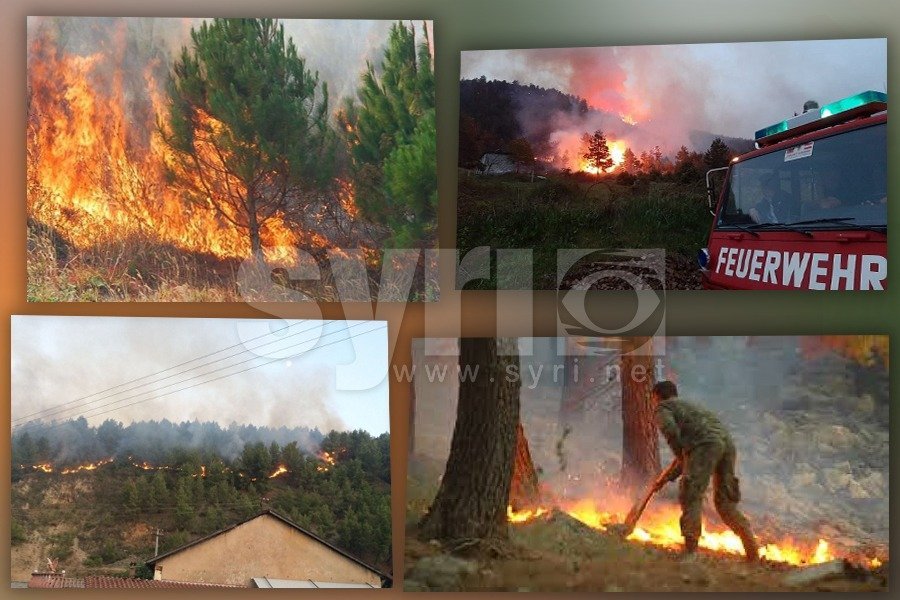 Qarku i Elbasanit nën flakë, vetëm gjatë kësaj periudhe 15 vatra të mëdha zjarri!
