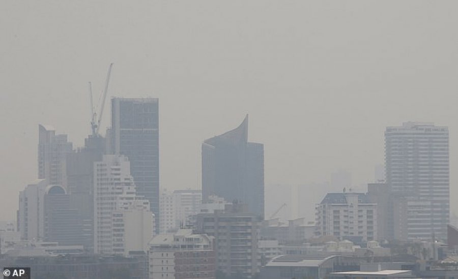 Ndotja e ajrit ende një problem, ul jetëgjatësinë me 2 vjet