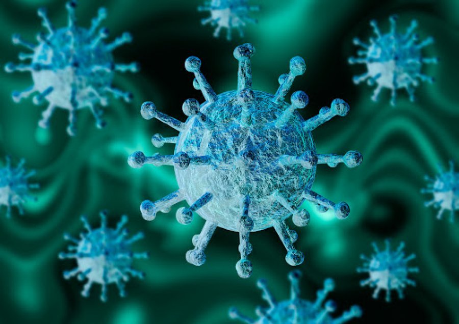 Pikat e nxehta të koronavirusit në botë