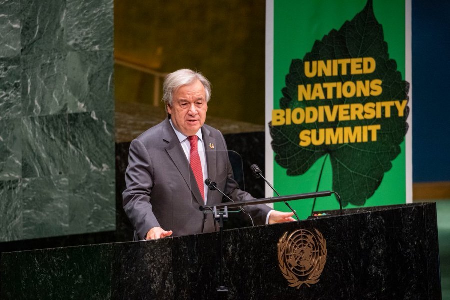 Sekretari i KB, Guterres: Planeti ynë është thyer, po zhvillojmë një luftë vetëvrasëse