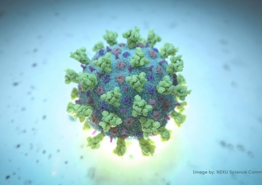 Këtë herë vjen alarmi nga Gjermania: Është zbuluar një lloj koronavirusi i ri, më i rrezikshëm se gjithë tjerët