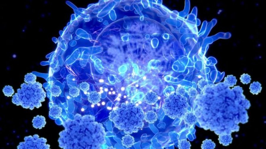 Eksperti britanik: Disa viruse ikin shpejt, ashtu siç vijnë – Ku shkoi SARS 1? Thjesht u zhduk!
