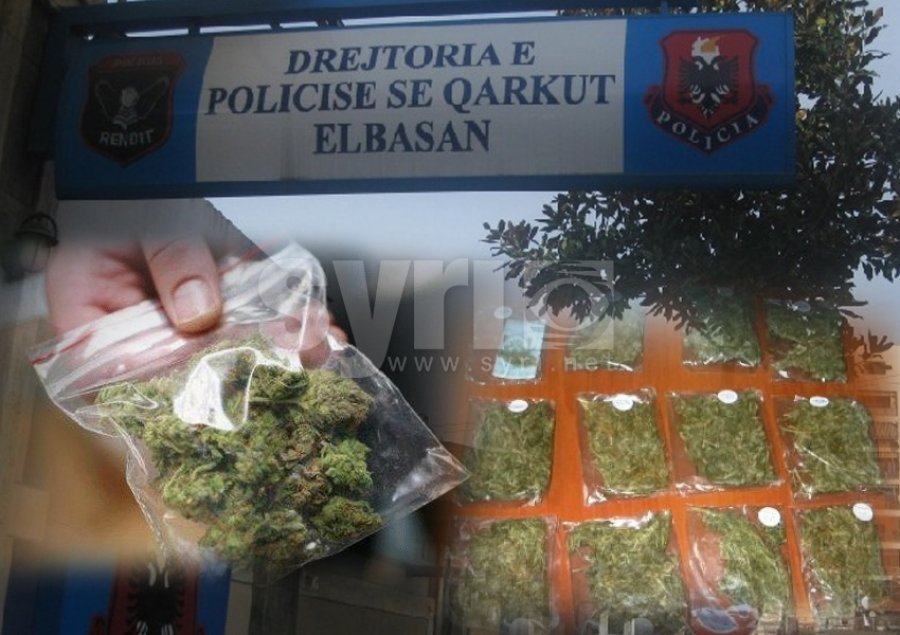 Polcia bën ‘namin’ në Gramsh, 8 të arrestuar, mes tyre edhe një kryeplak