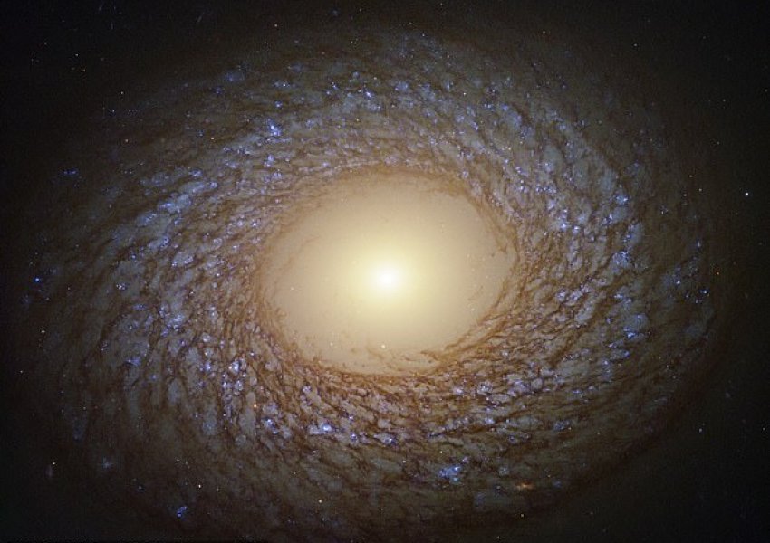 NASA zbulon galaksinë ‘puplore’, unike në llojin e saj