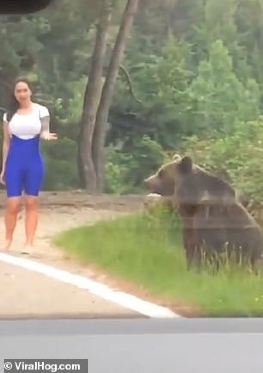 VIDEO/ Gruaja sulmohet nga ariu, po pozonte për foto pranë tij