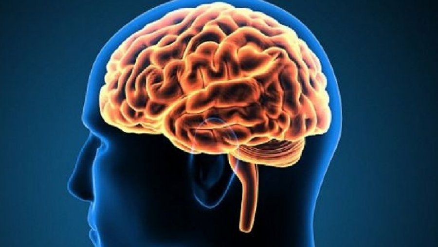 Studimi/ Shkencëtarët paralajmëruan se COVID-19 mund të çojë në komplikime të rënda neurologjike