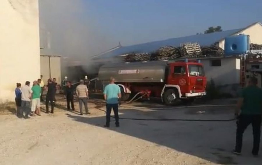 VIDEO/ Lushnjë, flakët djegin punishten e drurit