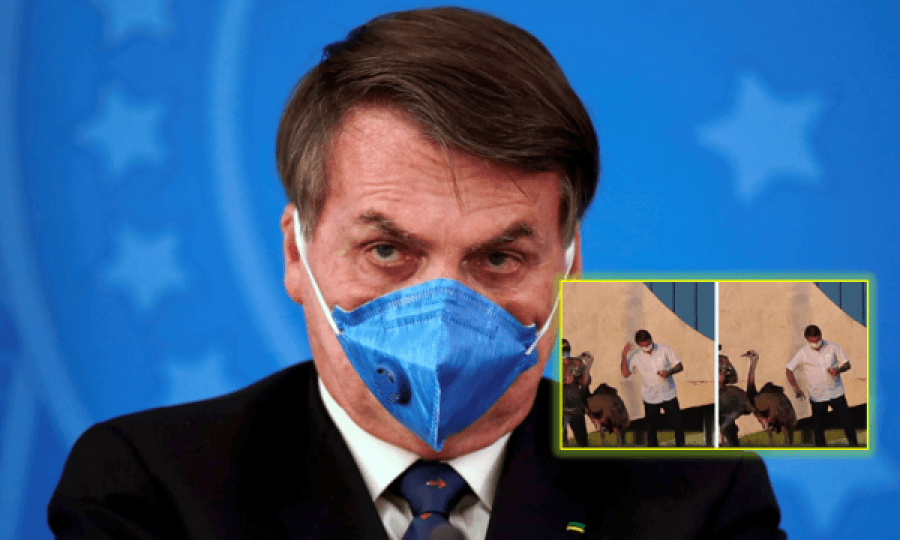 I infektuar me koronavirus, Presidenti i Brazilit kafshohet nga një zog i madh tek po e ushqente