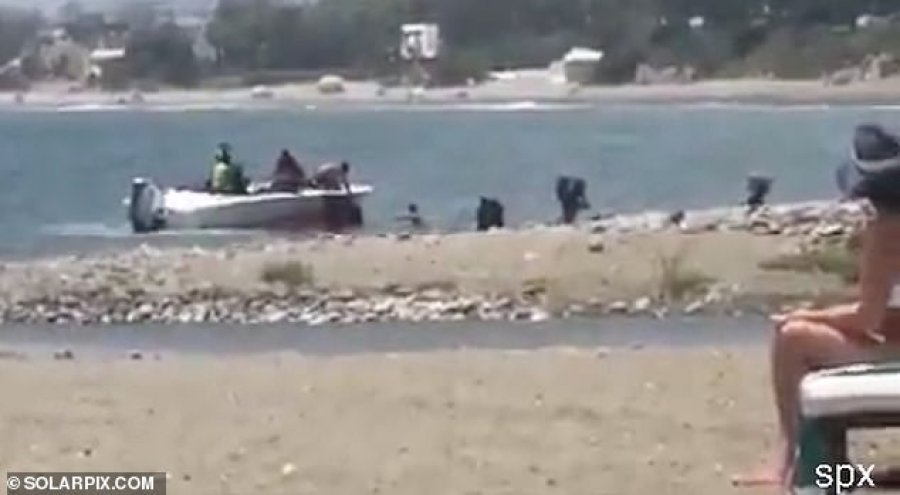VIDEO/Shpërndarje droge në mes të ditës, pushuesit filmojnë burrat teksa transportojnë kanabis në plazh