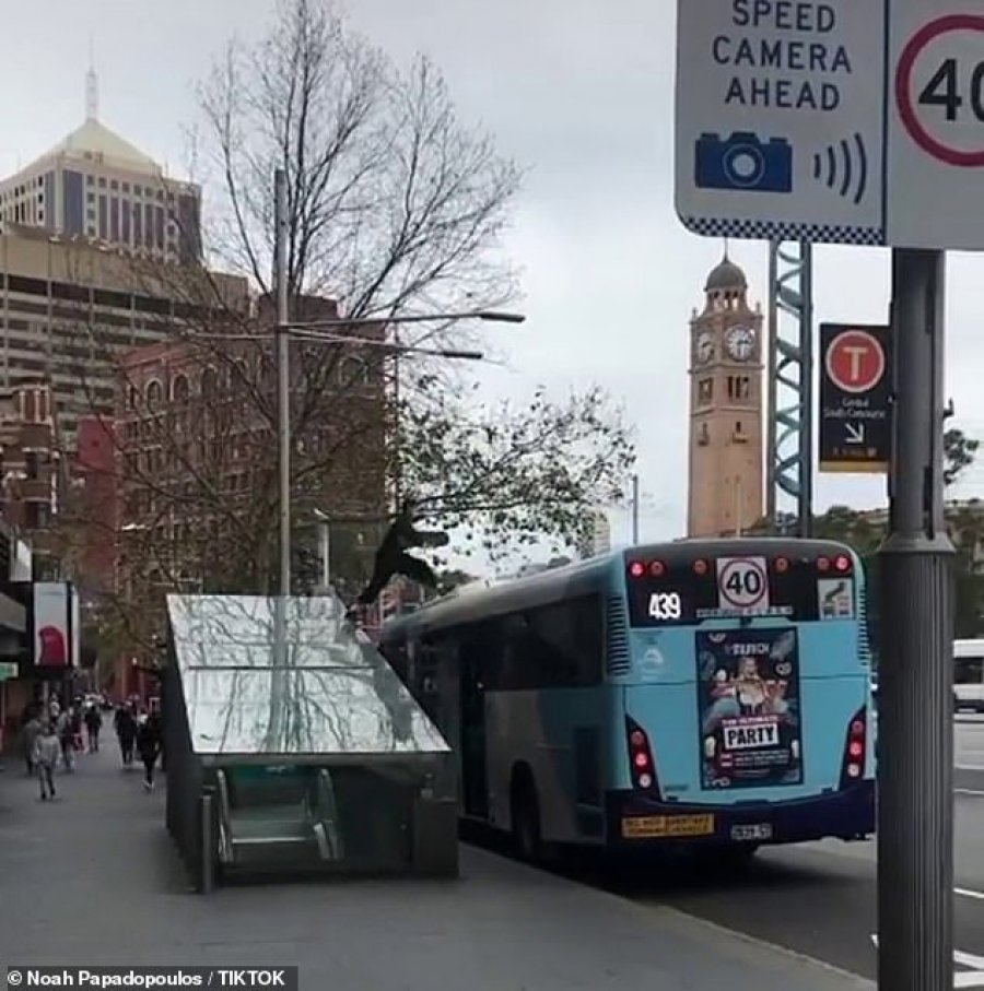 VIDEO/Filmimi viral, djali bën xhiro me skateboard mbi autobus