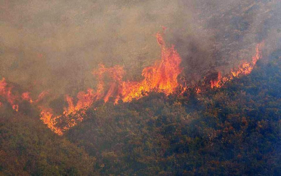 Greqi: Dy vatra të reja zjarri shpërthejnë në Keratea, Ilia