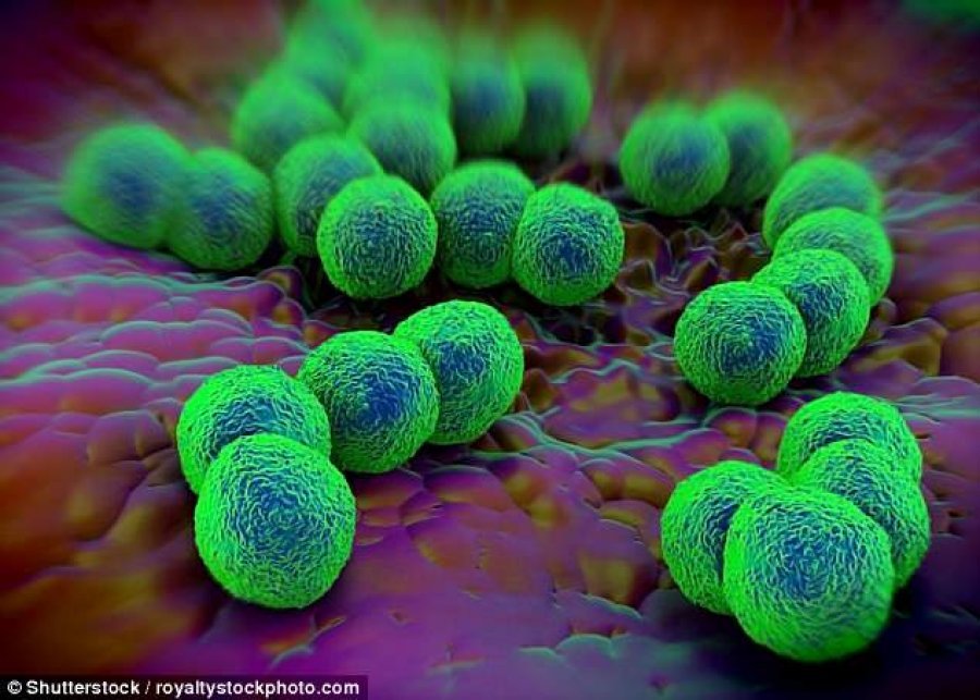Shkencëtarët zbulojnë përbërësin që lufton çdo mikrob