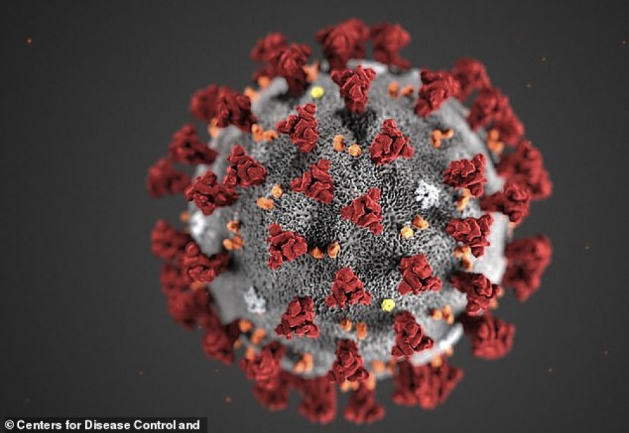 Studimi shokues, koronavirusi mund të dëmtojë testikujt në terma afatgjatë