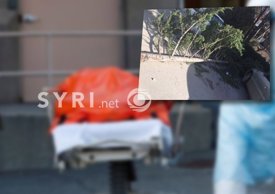 EMRI/ Era rrëzon pemën, humb jetën në vend 71-vjeçari në Gjirokastër