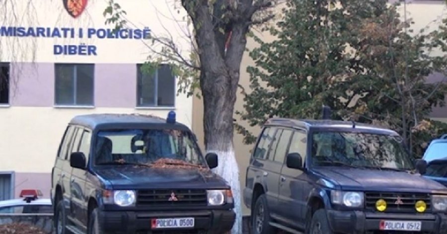 Njëri me thikë, tjetri me dërrasë, arrestohen të dy sherrxhinjtë në Bulqizë