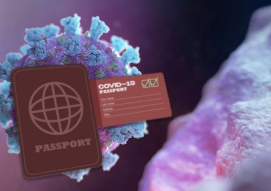 A vlejnë ‘pasaportat e imunitetit’? Studimi kinez tregon sa kohë zgjasin antitrupat ndaj COVID-19