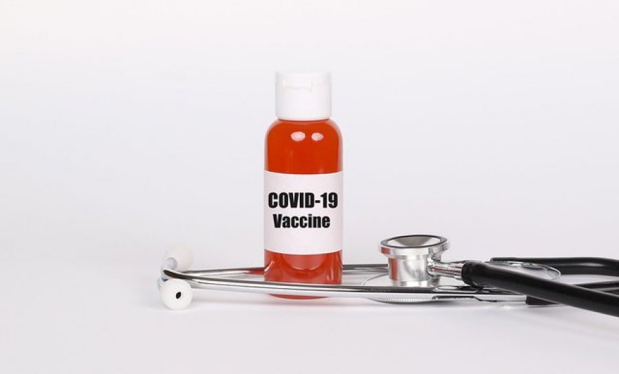 Vaksina nga hunda për Koronavirus; Kanadaja në garë për përfundimin e pandemisë