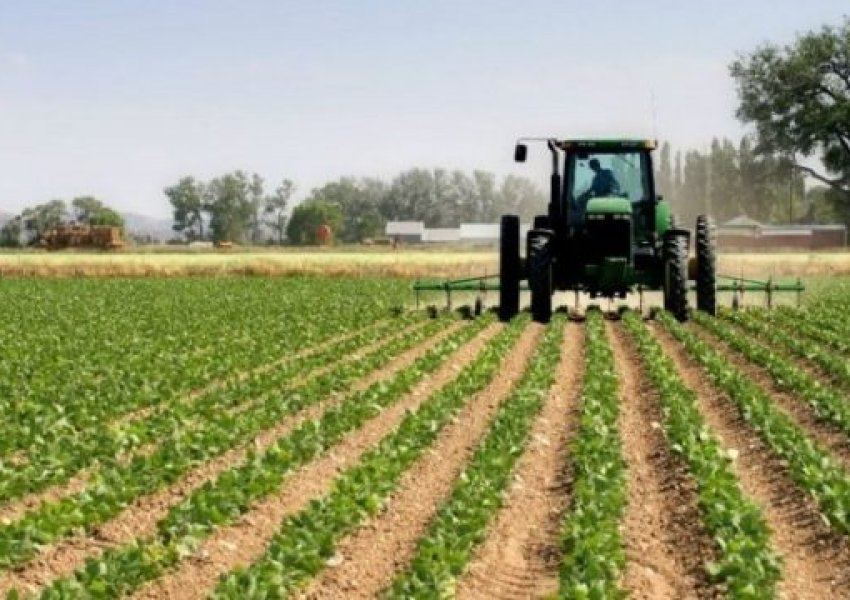 Shtyhet afati i aplikimit për subvencione në bujqësi