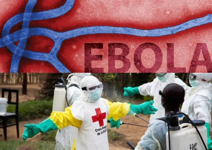 OBSH shpall fundin e Ebolës, ja si u arrit 