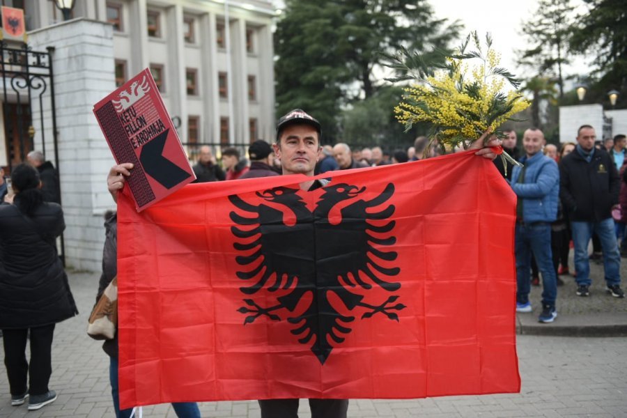 FOTOLAJM/ Me flamur, Kushtetutë dhe mimoza në protestë