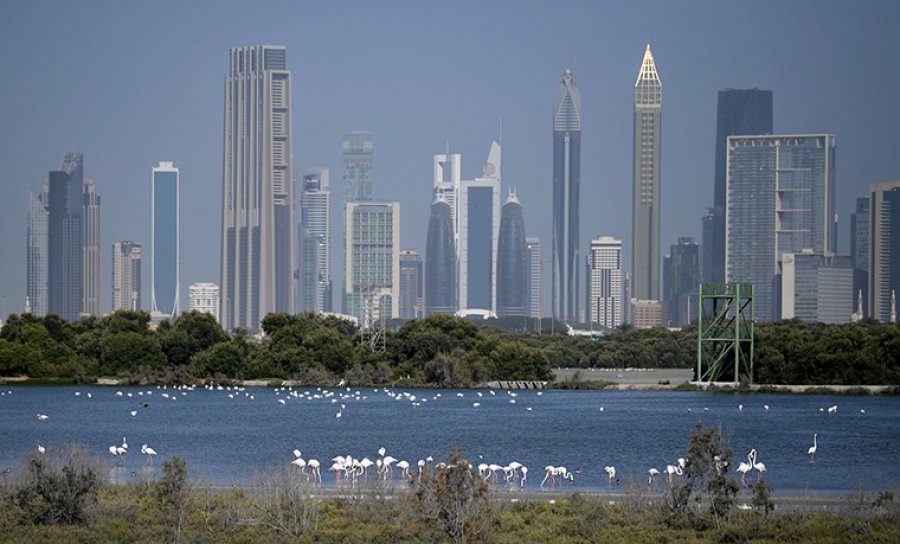 Emiratet e Bashkuara Arabe ndalojnë udhëtimin jashtë vendit, masë mbrojtëse ndaj COVID-19