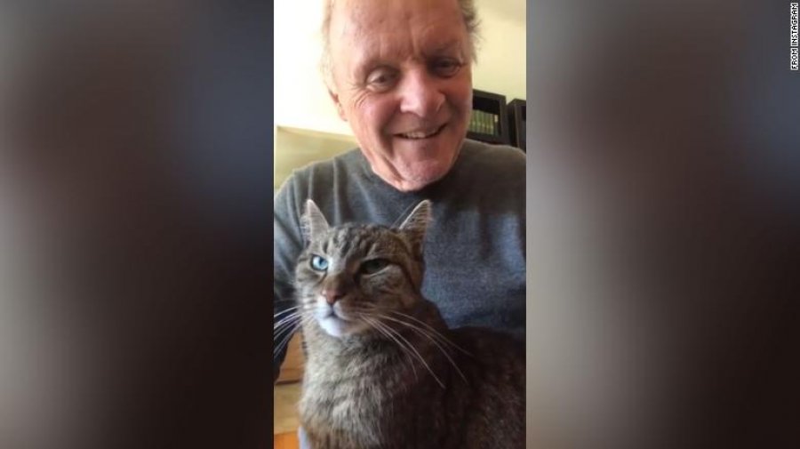 VIDEO/ Aktori 82 vjeçar luan në piano për macen e tij