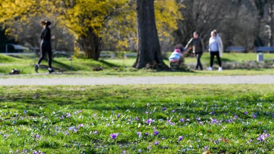A duhet ndaluar dalja e njerëzve jashtë? Ja ç’thonë ekspertët