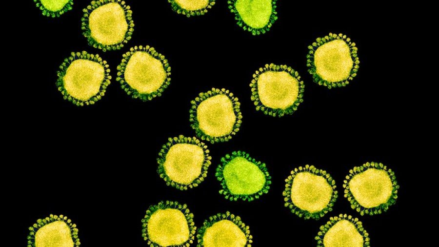 Tri arsyet përse koronavirusi ka qenë kaq i suksesshëm