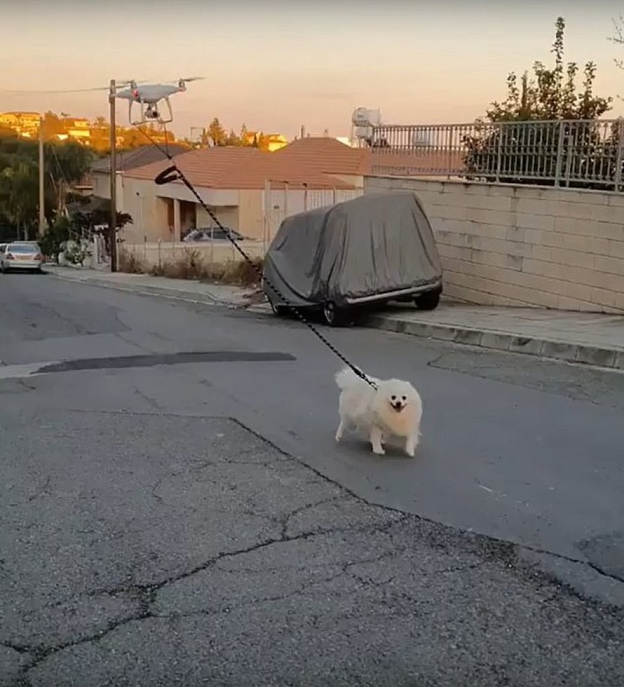 VIDEO/ Karantina mbyll pronarin në shtëpi, e nxjerr qenin shëtitje me dron