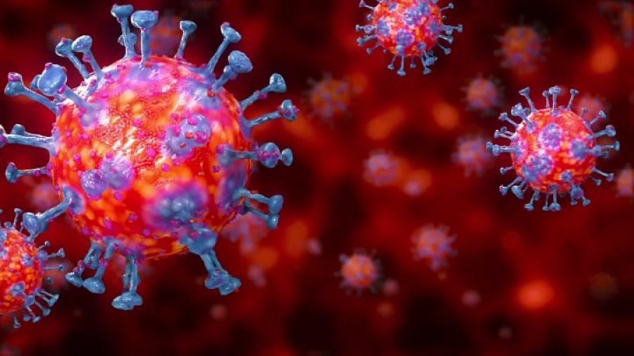 ISHP: Koronavirusi mund të transmetohet në të gjitha zonat klimaterike