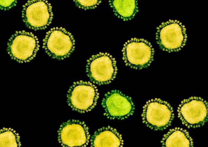 Pse u përhap me kaq lehtësi koronavirusi?