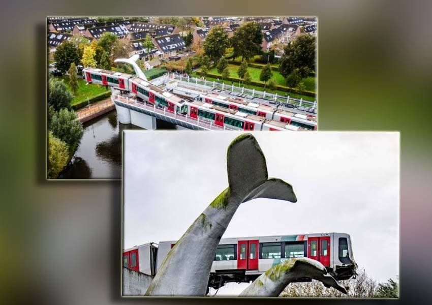 E pabesueshme: Një tren del nga shinat dhe ‘zbret’ në bishtin e një statuje balene