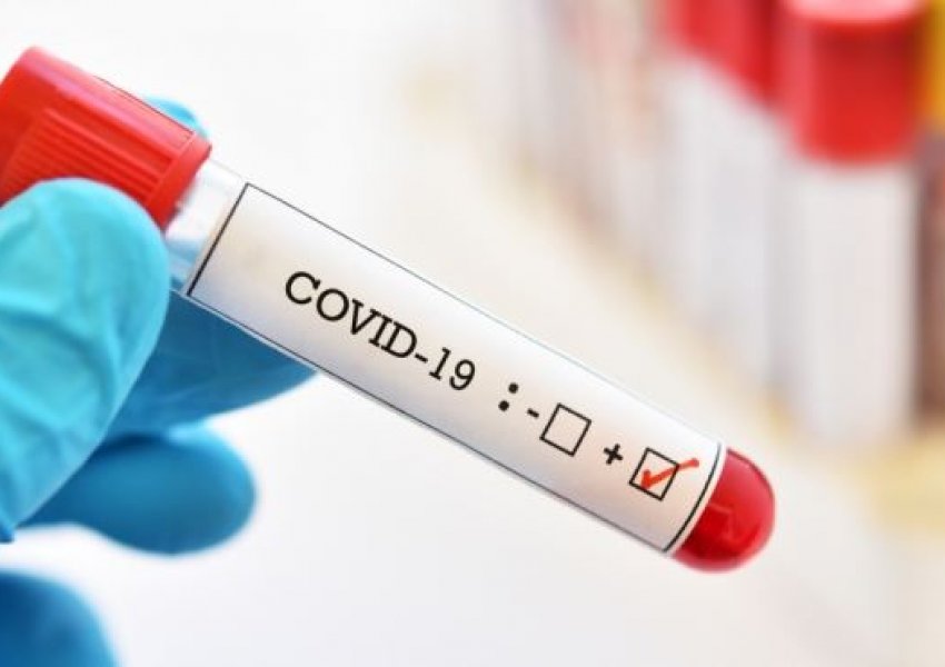 Kur do të përfundojë COVID-19: Efekti i vaksinës kundër virusit SARS-CoV-2