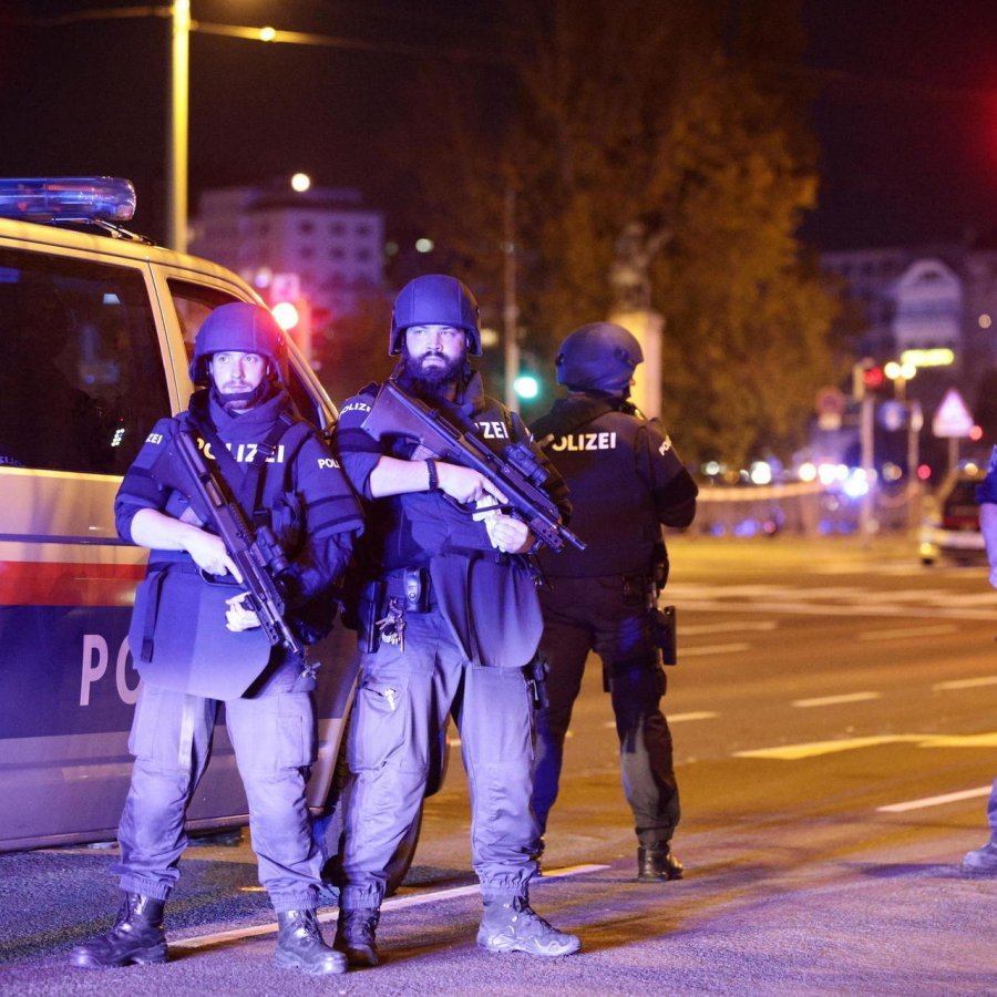 Austria heton 21 bashkëpunëtorë të mundshëm të terroristit të Vjenës