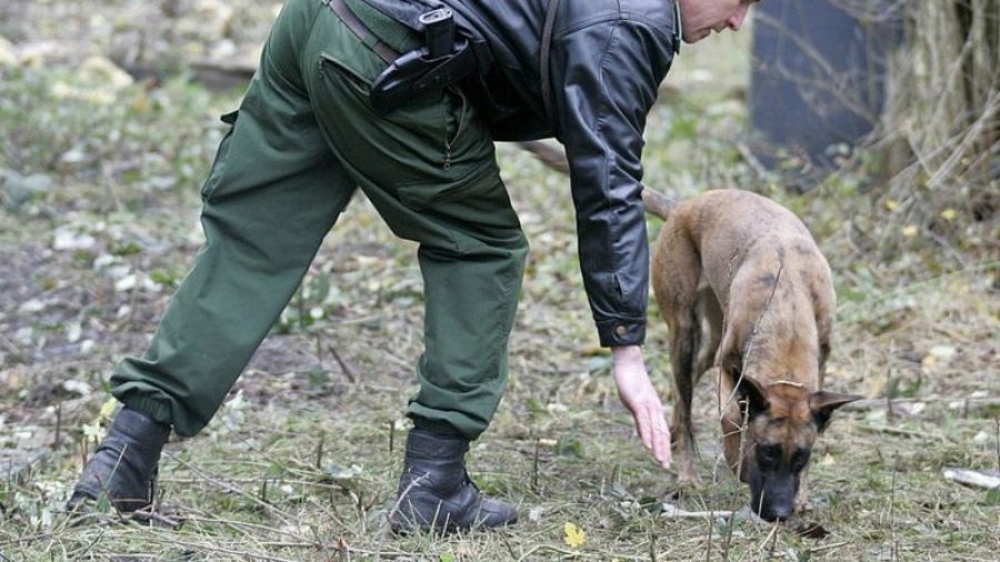 Policia gjermane arreston kanibalin, eshtrat e viktimës u gjendën në pyll