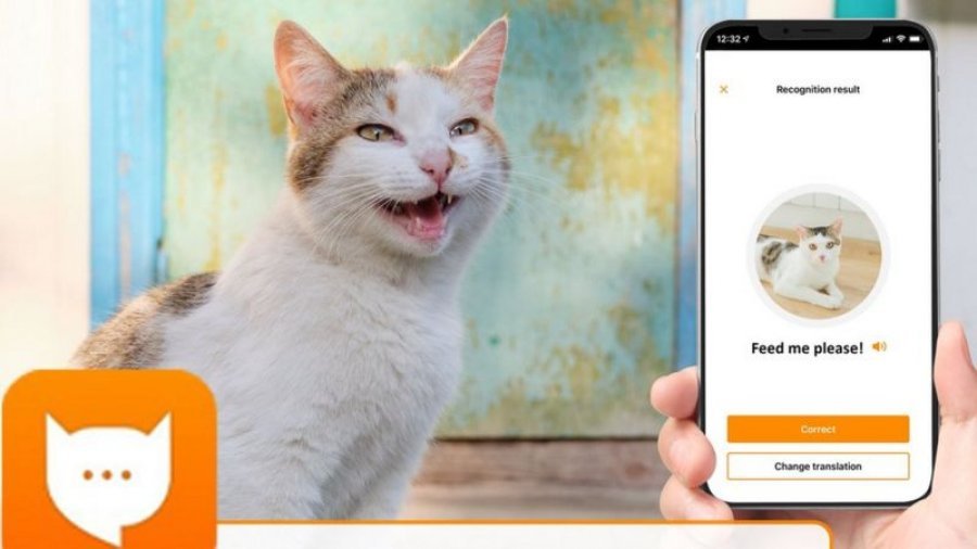 Aplikacioni që mund të përkthejë mjaullimat e maceve