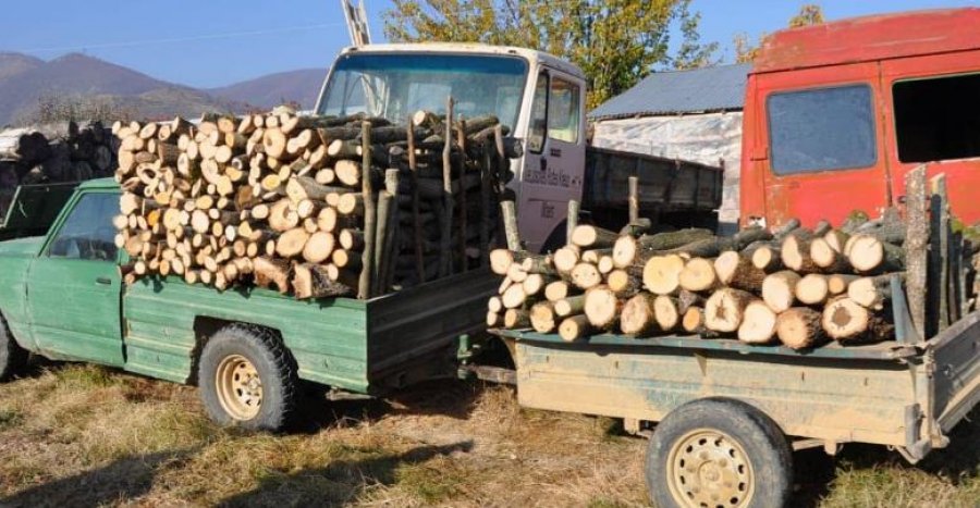 Fshatarët e Korçës i futen më sëpatë pyjeve, Policia kapi këta të nëntë