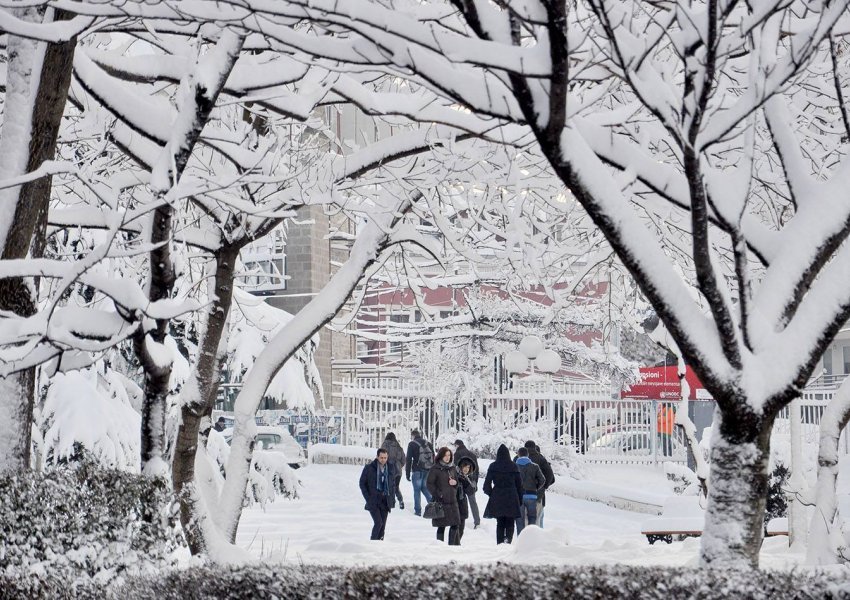 Meteorologu i BBC-së: Ngrica dhe borë deri në 20 centimetra në Kosovë, Serbi, Bullgari e Kroaci