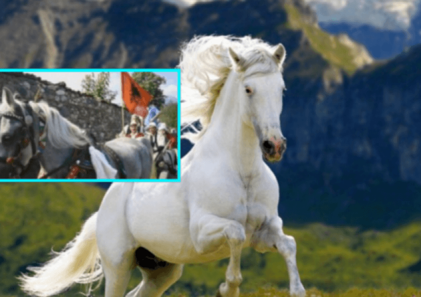 Zbardhet misteri i Rexhës: Atë nuk e mbyti kali, por axha 
