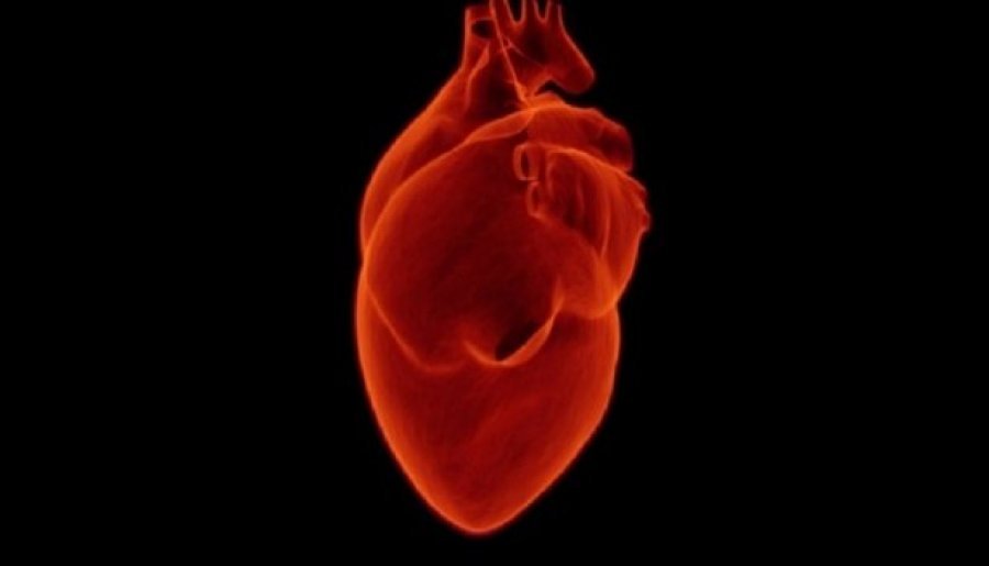Transplantimi i zemrës së derrit tek njeriu mund të jetë realitet në 2021-in