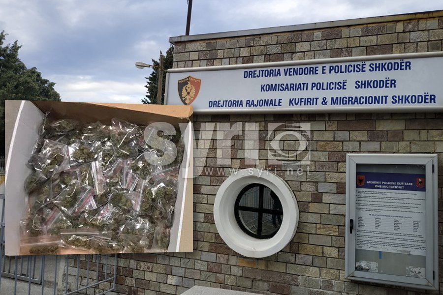 Kanabis gati për shitje, dy të arrestuar në Shkodër