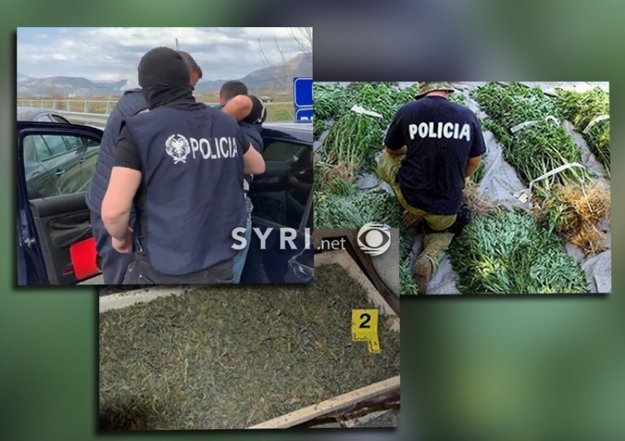 Sekuestrohet drogë në Vlorë, arrestohet poseduesi 52 vjeçar